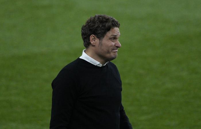 Dortmund: Terzic leaves his post as coach