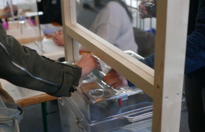 Legislative elections 2024: here are the candidates declared in Moselle