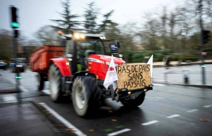 European Farmers’ Revolt: Should Canada Be Worried?