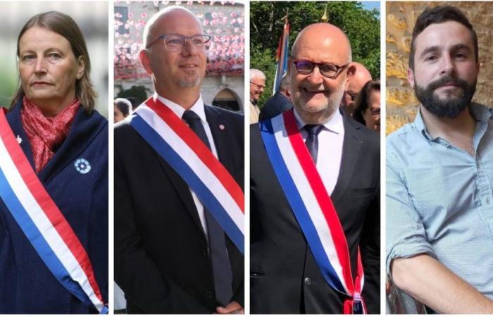 who are the candidates in Dordogne?