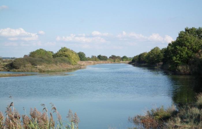 Charente-Maritime: an association wants to save the Seudre
