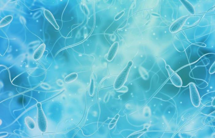 Microplastics with various effects discovered in human sperm