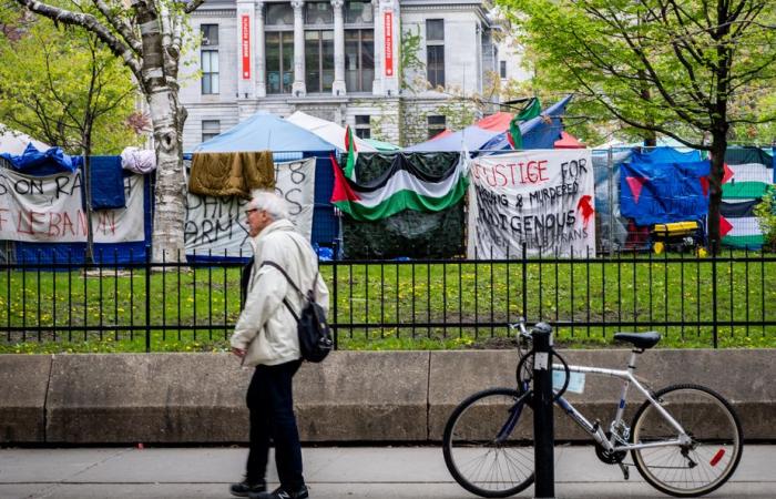 McGill pro-Palestinian encampment | “Revolutionary summer program” worries McGill
