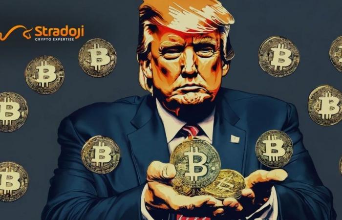 Why is Donald Trump Pro-Crypto?