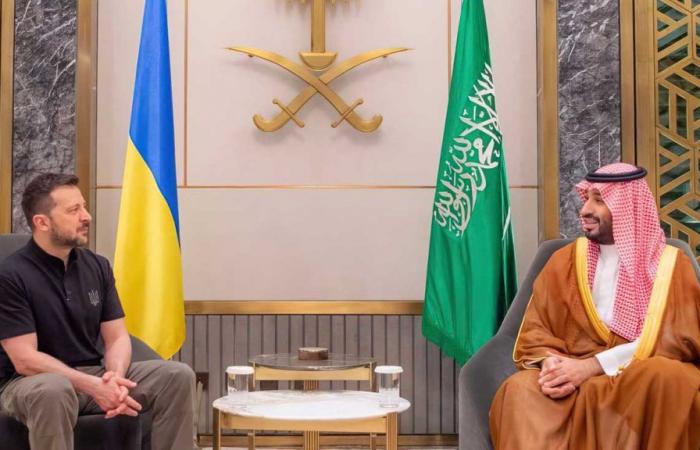 Saudi Crown Prince receives President Zelensky in audience in Jeddah