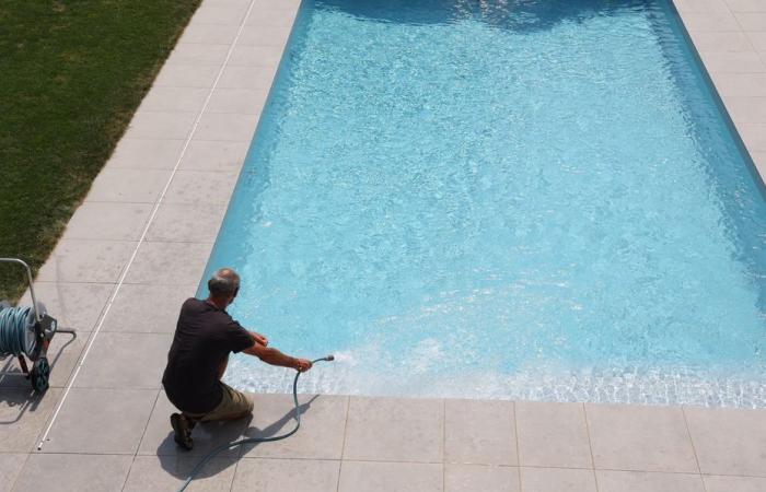 what is mustard algae that risks turning the water in your pool