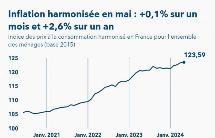 The harmonized inflation index in France increases in May 2024 by 2.6% over a