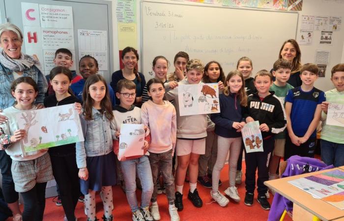 Mende: a short guide to the wild animals of Lozère for the students of the Saint-Joseph school, Around Mende