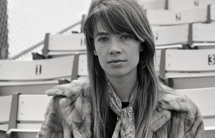 Spotify | Françoise Hardy at the top of listening trends around the world
