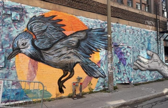 A new mural by artist Jamie Janx on Marie-Anne