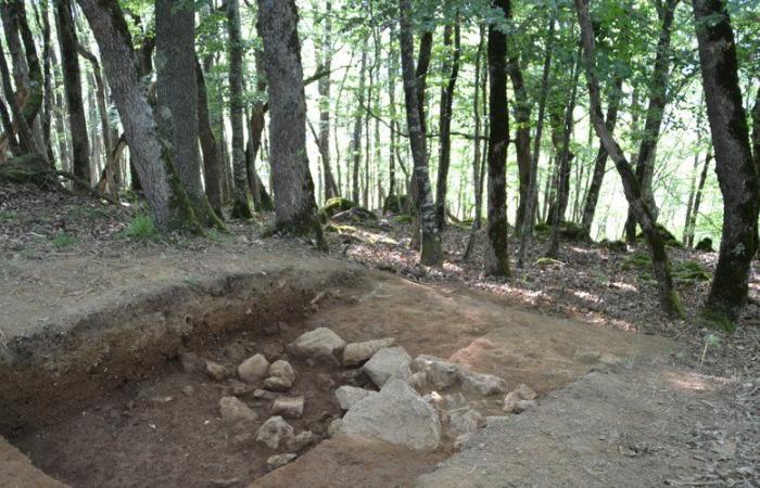 Archeology days: discover the Castrum de Lagarde, this 3000 year old fortified village in the Hautes-Pyrénées