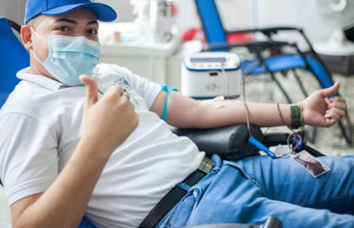 World Blood Donor Day is today: How to donate blood