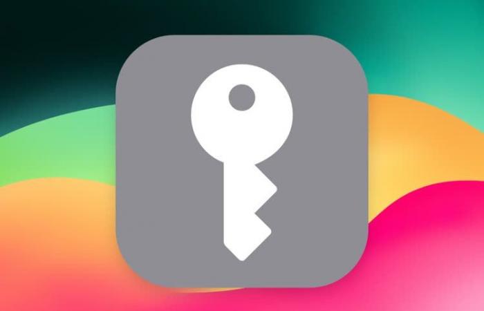 Overview of Passwords, the password manager finally independent of iOS 18 and macOS 15