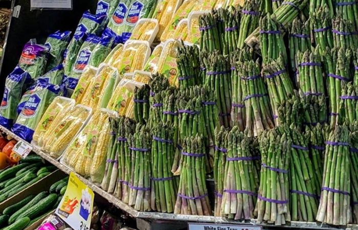 asparagus exports set to break record