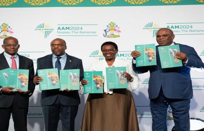 Afreximbank forecasts 3.8% growth for African economies in 2024