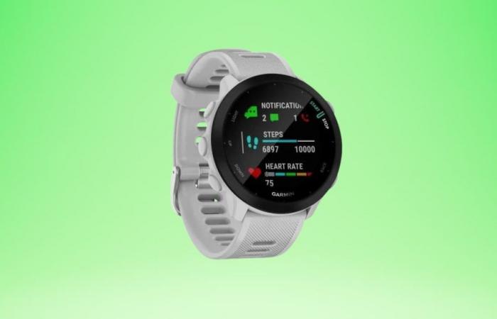 Nice little discount on the Garmin Forerunner 55 connected watch