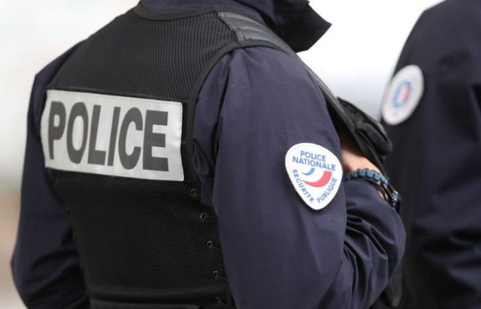 Aulnay-sous-Bois: a 23-year-old young man shot and killed in Gros-Saule, had already escaped murder in 2023