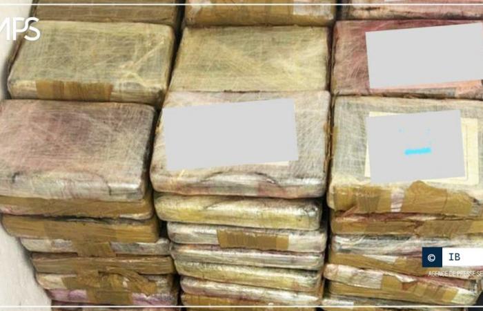 SENEGAL-SOCIETE-STUPEFIANTS / Kolda: 108 kg of cocaine seized by Kalifourou customs – Senegalese press agency
