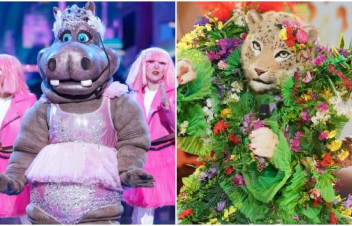 Pearl, Leopard, Scarecrow… We’ve unmasked all the costumes!