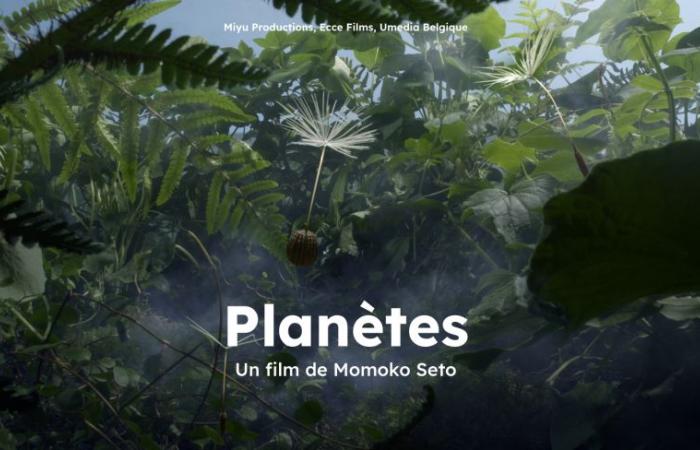 Annecy 2024 – WIP “Planets”: incredible filming for a dandelion-high adventure