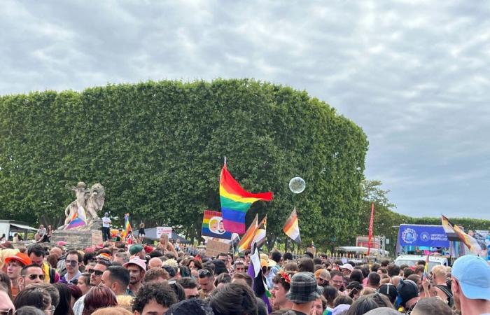 IN IMAGES, IN PICTURES. Pride 2024: a vibrant celebration of colors and demands in Montpellier