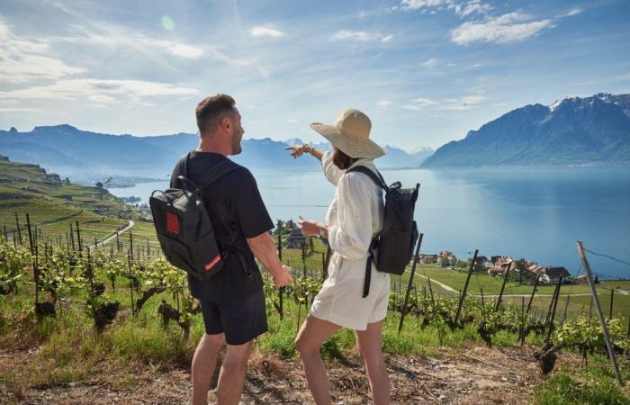 Swiss wine: Swiss Wine launches the maneuvering grades for the summer
