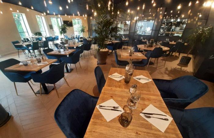 Restaurant, pub, guinguette… A huge complex opens its doors in Toulouse