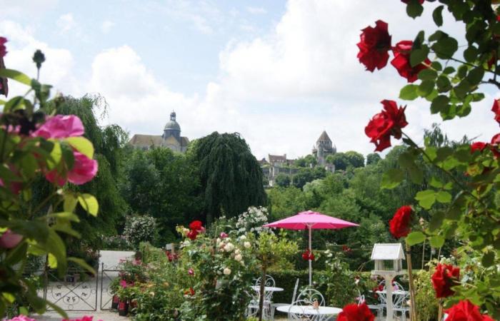 Seine-et-Marne: lost among roses, this terrace with breathtaking views will enchant your summer