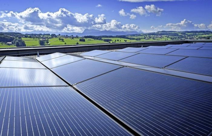 Photovoltaic: Small producers protected from negative prices