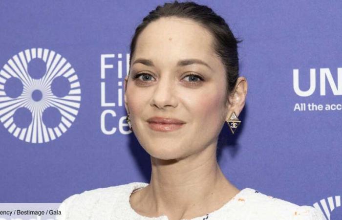Marion Cotillard engaged against the RN: this subliminal message leaves little room for doubt…