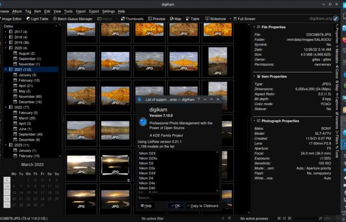 The best free photo managers on PC