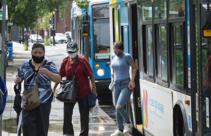Bus network in Montreal: the snake is biting its tail, according to a McGill study