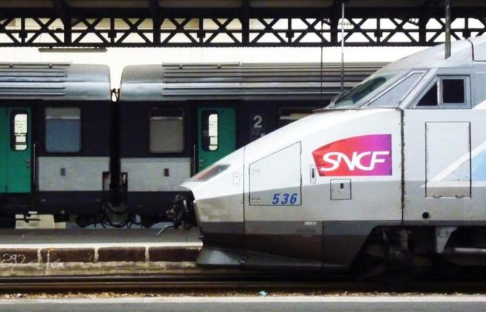 Thanks to Ouigo, the SNCF promises 15% more TGV seats within 10 years