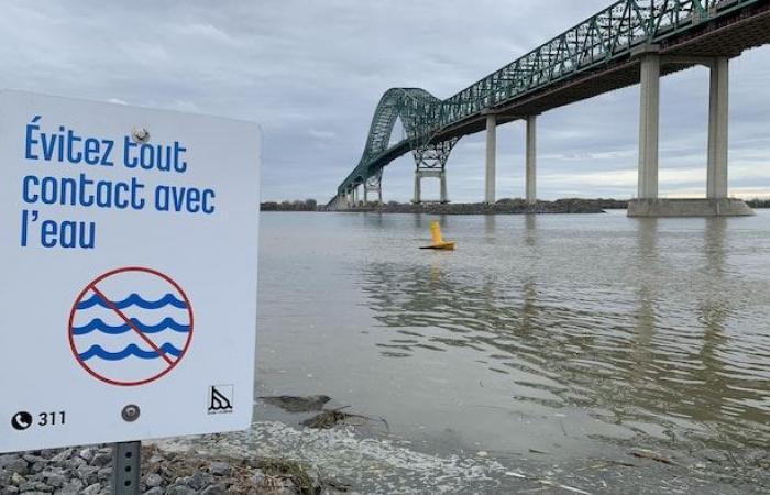 77 municipalities in Quebec dump their wastewater into nature