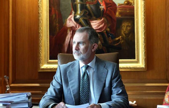 Seven new photos of King Felipe VI at work for his 10-year reign