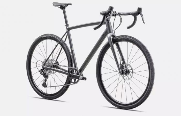 Crux DSW, a 9.4 kg aluminum gravel at €2,700 at Specialized