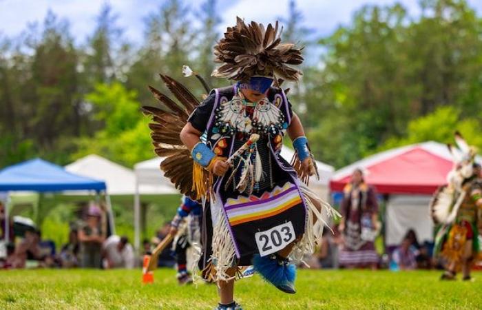 Five cultural activities to celebrate National Indigenous Peoples Day