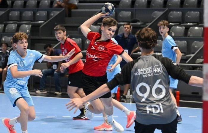 Handball: the Haute-Garonne clubs were there in the regional finals