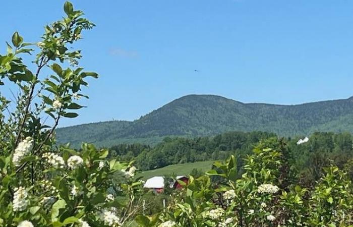 What hides in the shadow of Mont Sainte-Anne