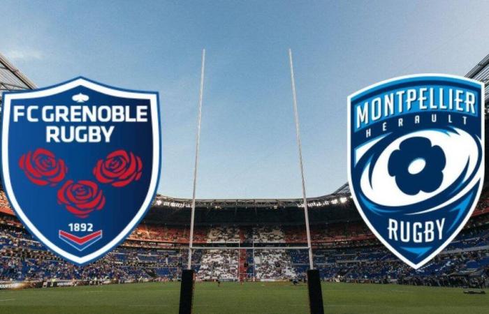 Montpellier: on which channel and at what time to watch the Top 14 play-off live?