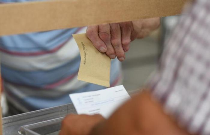 Who are the 20 candidates for the legislative elections in the Yonne constituencies?