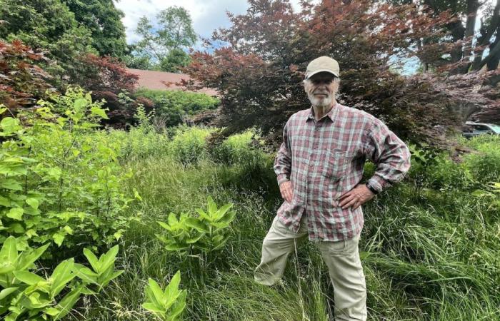 Ontarian ready to go to Supreme Court for not mowing his lawn