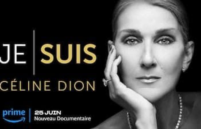 Documentary “I am: Céline Dion”: “The obstacle was not the illness, it was the lie,” says the director