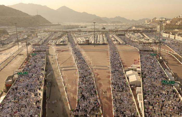 No deaths on Mount Arafat Day, assures the head of the health delegation, but is this the truth?