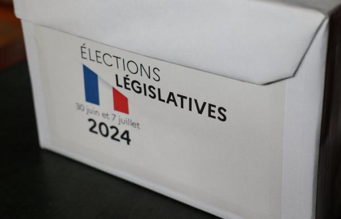 2024 legislative elections in the Gers: discover the names of the candidates in your constituency