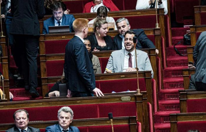 Adrien Quatennens renounces running for legislative elections in the North