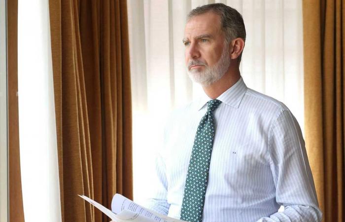 Seven new photos of King Felipe VI at work for his 10-year reign