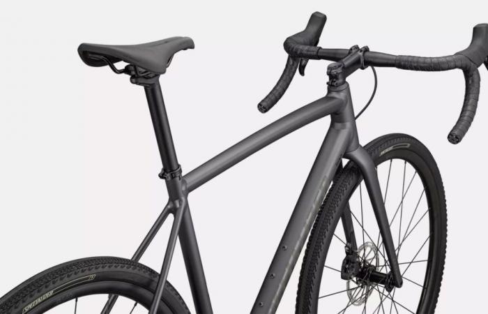 Crux DSW, a 9.4 kg aluminum gravel at €2,700 at Specialized