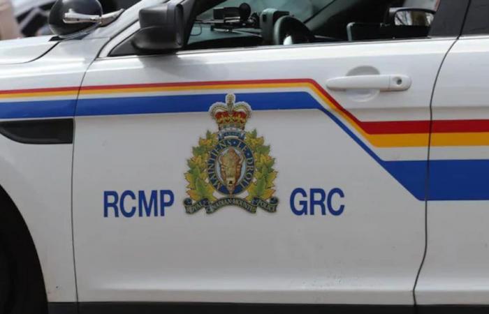 Road accident leaves one dead in Renous, New Brunswick