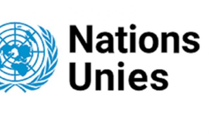 The United Nations Office for Central Africa (UNOCA) is recruiting for these 2 positions (June 16, 2024)